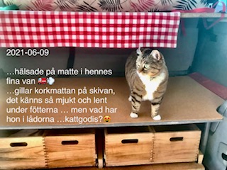 ... synd att en del bilder är suddiga - men jag vill ha dom här