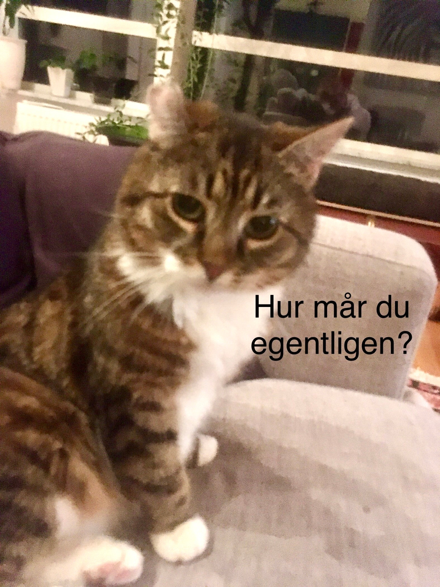 ... undrar ibland om matte kan ta bilder