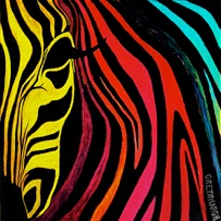 Zebra Pride